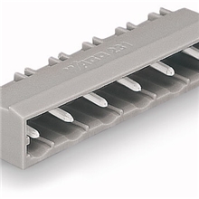 Wago(万可），231-832/001-000