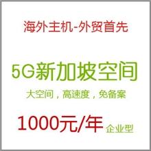 5G新加坡企业型虚拟主机空间容量5000M