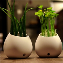 LYL盆栽光控节能灯创意LED七彩草娃娃小夜灯仿真植物墙壁灯