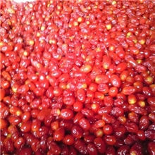 樱桃干厂家直销云南又一怪樱桃番茄干樱桃干跑江湖圣女果批发