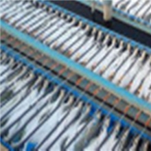 【专业供应】MBR膜生物反映装置MBR水处理设备一体化净水设备