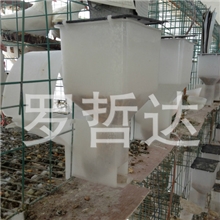 全新鸽子自动食槽自动li料槽自动料斗盒鸽用自动食槽
