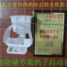肉鸽/种鸽专用自动食槽鸽子自动食槽自动料盒