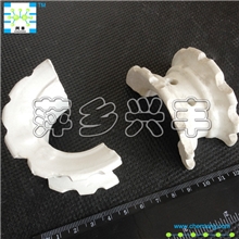 供应50MM陶瓷异鞍环填料，化工填料