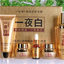 护肤品正品一枝春一夜白白里透红植物精油精品五件套祛斑控油抗皱