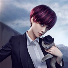 【明星同款】女生短发假发批发bobo头彩色发套现货