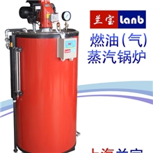 蒸汽锅炉-全自动燃油锅炉-燃油蒸汽锅炉LDR0.05-0.7