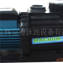 供应泳池循环水泵(美-爵士)防腐药剂