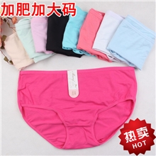 【畅销】女士加大码内裤批发女式三角纯棉内裤胖MM妈妈孕妇内裤
