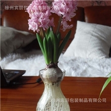 厂家生产时尚透明风信子玻璃瓶风信子水培花瓶质优价廉！