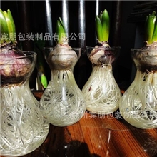 厂家直供时尚透明风信子水培容器风信子玻璃瓶量大从优