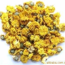 批发供应优质花草茶金香菊黄菊花清肝明目