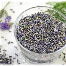 大量供应2013年薰衣草干花花草茶薰衣草