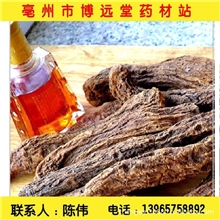 锁阳（批发供应中药材野生大锁阳中药饮片）