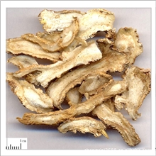 当归（批发中药材甘肃当归当归片）