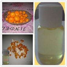 陈皮精油桔皮油健脾开胃消脂降压