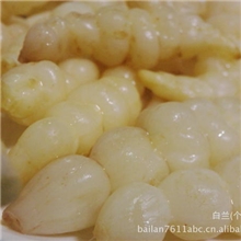 野生地蛹子又名银条菜地参限量上市，稀有珍惜美味佳肴欲购从速