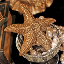 zakka杂货欧式宫廷复古做旧摆件陶瓷大海海边贝壳拍摄道具装饰