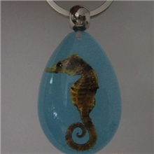 海马钥匙扣昆虫琥珀钥匙扣昆虫手链广告促销品