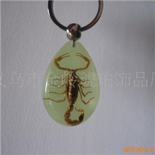 供应夜光琥珀钥匙扣夜光昆虫钥匙扣情侣钥匙扣钥匙扣批发