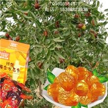 水晶枣清除口臭养颜排毒纤体瘦身排毒