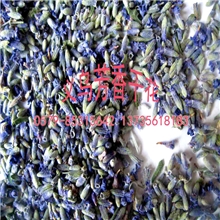 现货批2013年纯天然薰衣草薰衣草颗粒干花芳香浓郁持久舒适度好