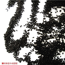 批发精选高品质新疆薰衣草种子现货厂价直销保证真品假一赔十