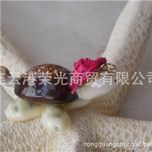 海洋贝壳纯天然贝壳批发菲律宾进口戴帽子小乌龟BK-GY-070
