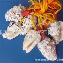 批发海洋贝壳海螺口哨贝壳工艺品吹号哨子响铃螺号BK-GY054-2