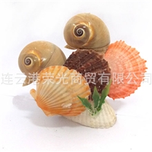 批发贝壳贝壳工艺品《鸳鸯》纯天然贝壳贝壳礼品BK-GY-065