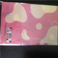 专业厂家定做文件夹/单层文件夹/L型文件夹/两页文件夹