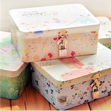 韩国文具批发清新物语带锁收纳铁盒（中号）家居铁罐YOT-1017