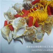 厂家直供贝壳海螺号螺吹儿童玩具贝壳口哨扁刺螺短刺螺吹子