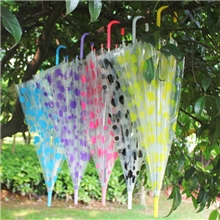 厂家批发直杆自动雨伞透明圆点伞卡通彩色透明伞定做广告雨伞