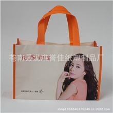 厂家供应无纺布袋购物袋广告袋促销袋无纺布袋子