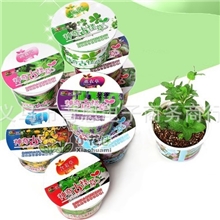 趣味神奇古怪草迷你植物DIY种植园艺小盆栽批发厂家直销