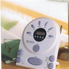 库存美国HoMedics钟控收音机日本东芝芯片定时开关机收音机