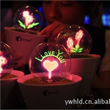 七夕情人节礼物浪漫火花小夜灯创意盆栽节能花火小夜灯5款任选