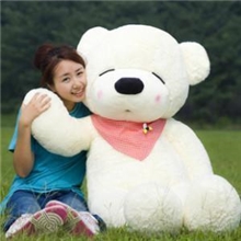 泰迪熊毛绒玩具生日礼物女爆款公仔布娃娃网店代理一件代发