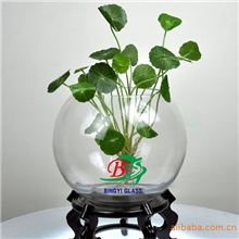 bingyi:批发供应/透明玻璃花瓶金鱼缸/水培绿萝圆球乌龟鱼缸花瓶