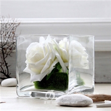 批发供应：bingyi时尚简约透明玻璃四方缸/小花瓶水培花插！