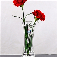 供应批发：透明八角型玻璃花瓶花插水培