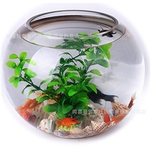 批发玻璃鱼缸圆球玻璃花瓶现代简约花瓶水培透明玻璃