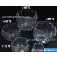 【小宝】厂家直销南瓜透明玻璃花瓶、玻璃花瓶水培、装饰摆件