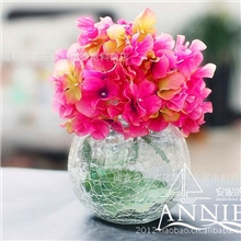 【小宝】碎冰花金鱼缸水培玻璃花瓶透明水培玻璃花瓶