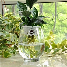 厂家直销供应实用环保蜡烛器皿批发各种新款蜡烛器皿/淘宝热卖