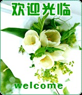 树脂工艺品批发加货补差价补邮费多款拍一条专用链接