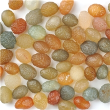 域石新疆淖毛湖天然葡萄干玛瑙原石籽料