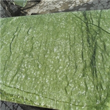 供应丹东绿条板【纯天然】批发零售