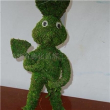 动物草制品【十年经营，诚信合作】